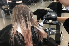 Long Hair Highlights